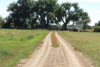 Enlarge photo 104