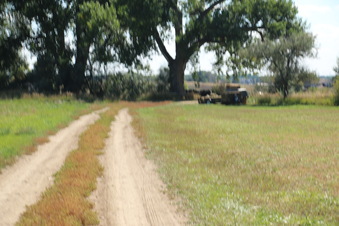Enlarge photo 105