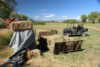 Enlarge photo 108