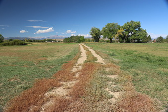 Enlarge photo 109