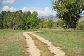Enlarge photo 111
