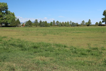 Enlarge photo 112