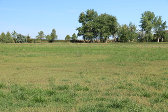 Enlarge photo 113