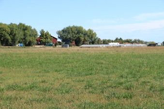 Enlarge photo 114