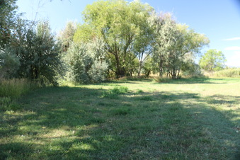 Enlarge photo 135