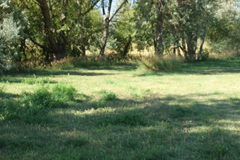 Enlarge photo 136
