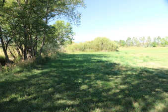 Enlarge photo 137