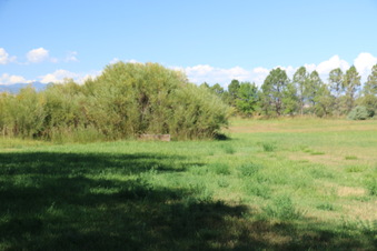 Enlarge photo 138