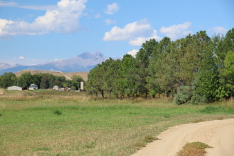 Enlarge photo 139