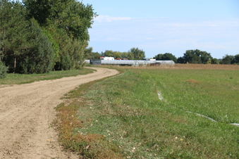 Enlarge photo 141