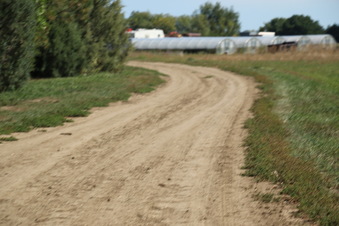 Enlarge photo 142