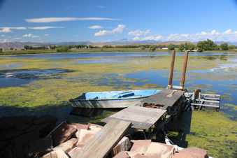 Enlarge photo 146