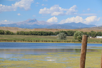 Enlarge photo 148