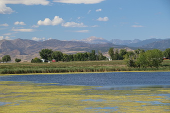 Enlarge photo 152