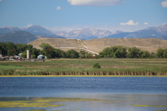 Enlarge photo 153