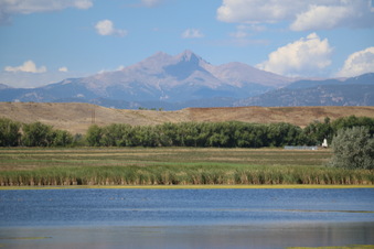 Enlarge photo 154