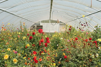 Enlarge photo 168