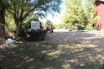 Enlarge photo 179