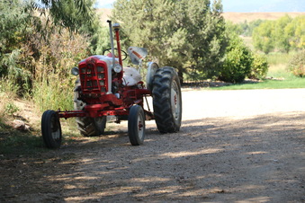 Enlarge photo 180