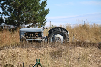 Enlarge photo 199