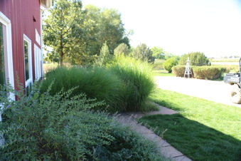 Enlarge photo 210