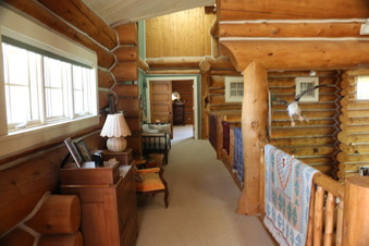 Enlarge photo 313