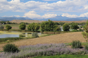Enlarge photo 340