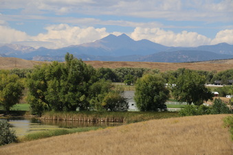 Enlarge photo 341