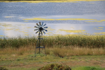 Enlarge photo 343