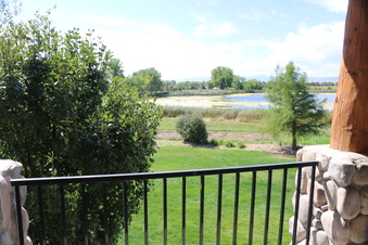 Enlarge photo 349