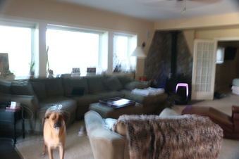 Enlarge photo 363
