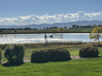 Enlarge photo 384