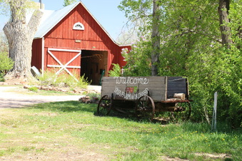 Enlarge photo 9