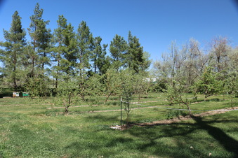 Enlarge photo 22