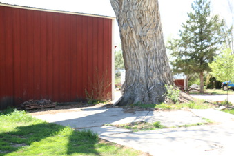 Enlarge photo 25