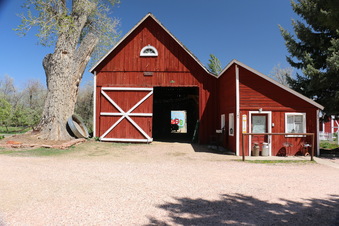 YA YA FARM & ORCHARD