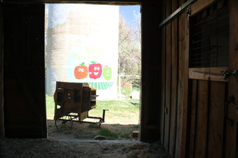 Enlarge photo 42