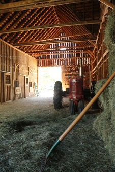 Enlarge photo 41