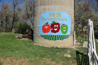 Enlarge photo 43