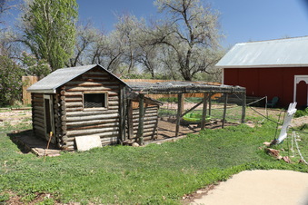 Enlarge photo 45