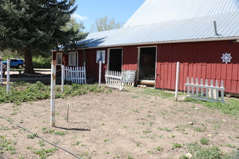Enlarge photo 51