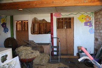 Enlarge photo 54