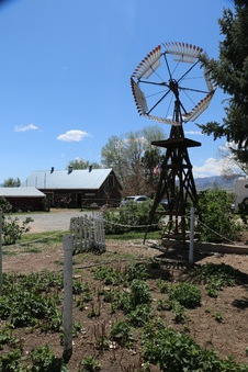 Enlarge photo 58