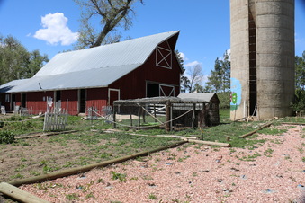 Enlarge photo 59