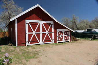 Enlarge photo 63