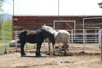 Enlarge photo 67