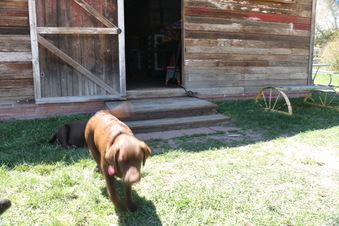 Enlarge photo 73