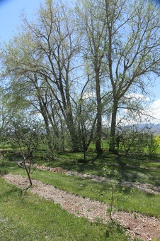 Enlarge photo 77