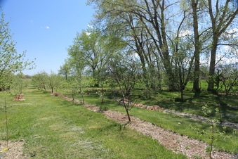 Enlarge photo 78