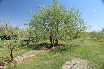 Enlarge photo 79